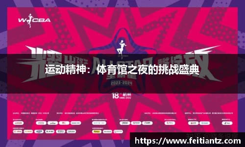 运动精神：体育馆之夜的挑战盛典